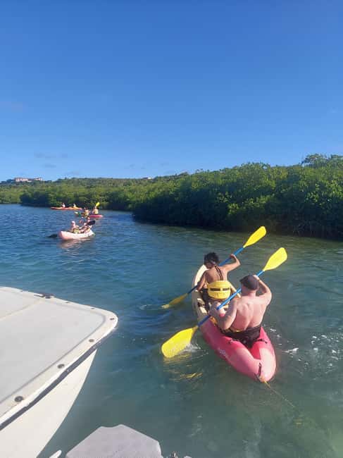 Antigua: Drink Till Your Drunk Rum Drinking & Discovery Tour - Key points at a glance