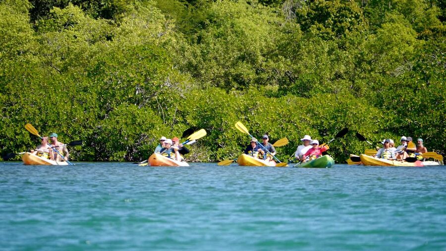 Antigua: Drink Till Your Drunk Rum Drinking & Discovery Tour - What the $106 price really buys you