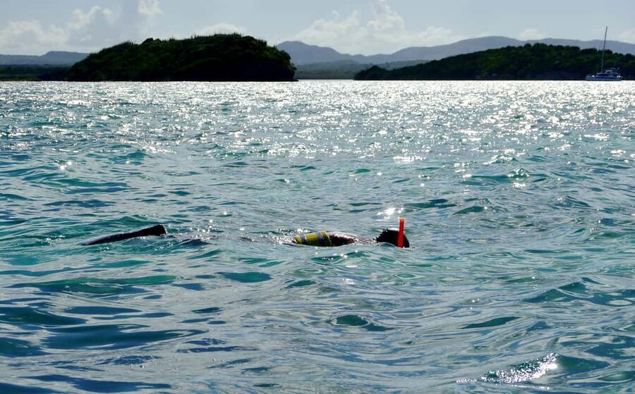 Antigua: Drink Till Your Drunk Rum Drinking & Discovery Tour - St. John’s begins the sightseeing
