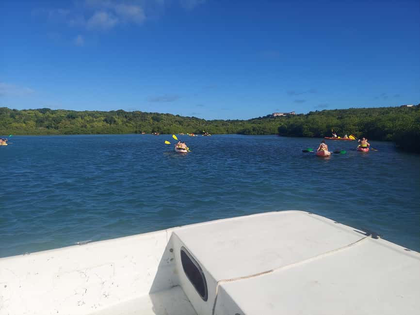 Antigua: Drink Till Your Drunk Rum Drinking & Discovery Tour - Devil’s Bridge gives you Antigua’s dramatic coast