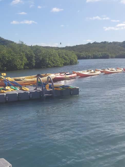 Antigua: Drink Till Your Drunk Rum Drinking & Discovery Tour - Sir Vivian Richards Cricket Stadium gets the most time