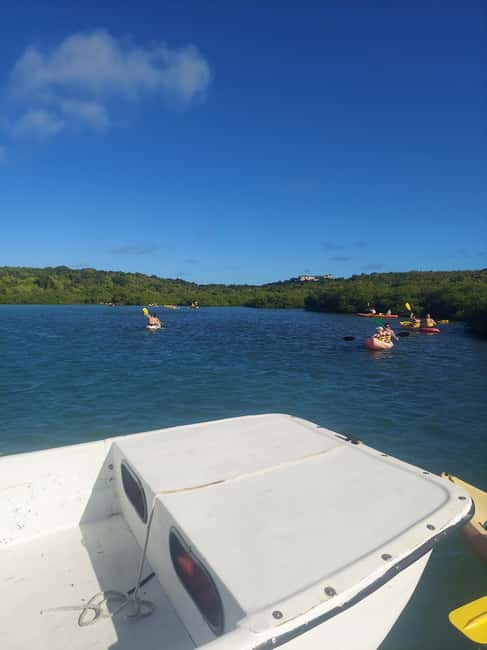 Antigua: Drink Till Your Drunk Rum Drinking & Discovery Tour - Rum, beer, music, and the guide’s role