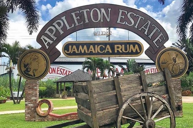 Appleton Estate Rum Private Tour - What the six-hour schedule means for your day
