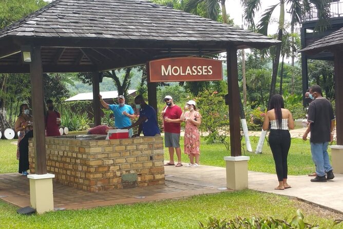 Appleton Estate Rum Tour and Pelican Bar Customize Tour - Who will enjoy this tour most