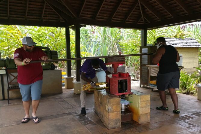 Appleton Estate Rum Tour and Pelican Bar Customize Tour - Leaving Montego Bay for three Jamaican parishes