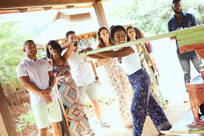 Appleton Estate Rum Tour and Tasting from Negril - The drive from Negril to Nassau Valley
