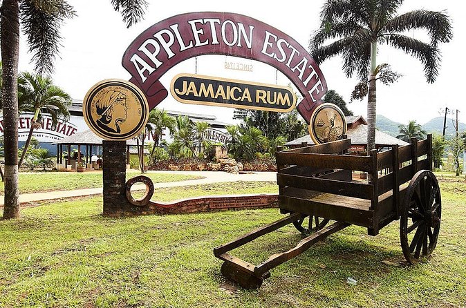 Appleton Estate Rum Tour and Tasting from Runaway Bay - Practical clothing, timing, and comfort advice
