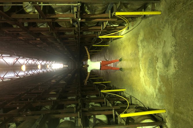 Appleton Estate Rum Tour - Sugarcane, molasses, and the start of the rum story