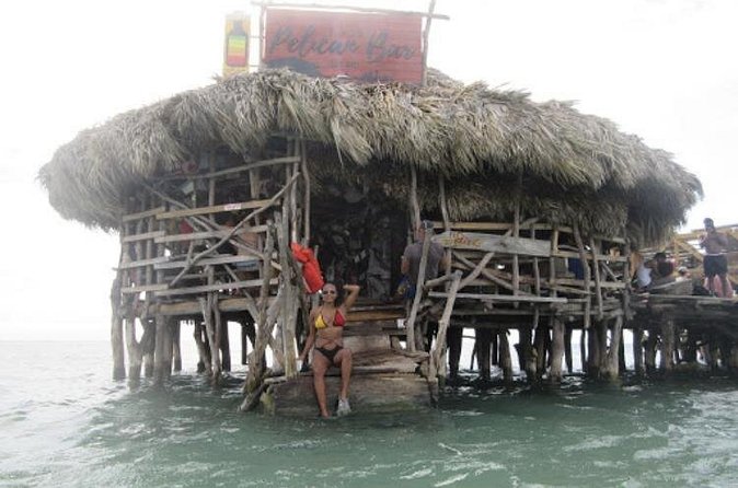 Appleton Estate Rum, YS Falls, Black River Safari / Floyd's Pelican Bar Tour - Is $275 per person a fair price?