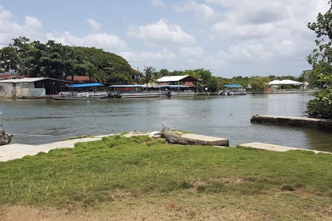 Appleton Estate Rum, YS Falls, Black River Safari / Floyd's Pelican Bar Tour - Appleton Estate and Jamaica’s rum tradition