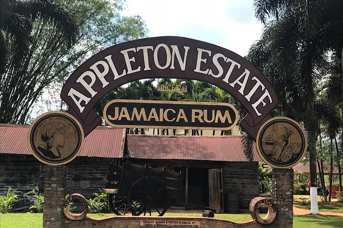 Appleton Rum Factory, YS Falls, and Reggae Horseback Ride & Swim Combo Tour - Key points at a glance