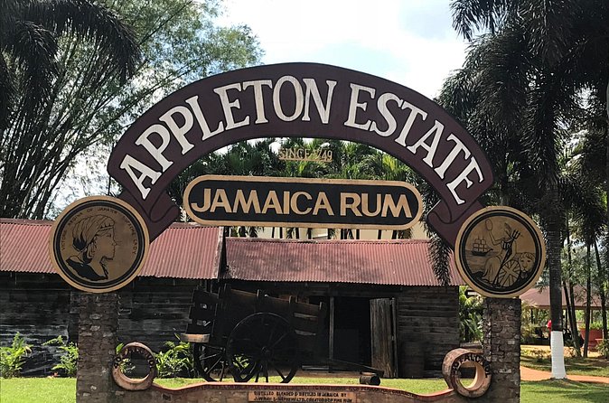 Appleton Rum Factory, YS Falls, and Reggae Horseback Ride & Swim Combo Tour - YS Falls brings the day outdoors