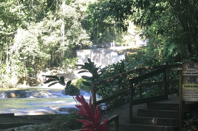 Appleton Rum Factory, Ys Falls, Black River Safari, Floyd’s Pelican Bar - The long road time is part of the bargain