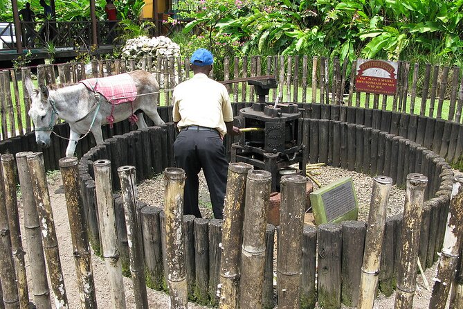 Appleton Rum Tour and Floyd’s Pelican Bar from Montego Bay Hotels and Villas - Time at Floyd’s Pelican Bar