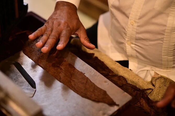 Aurora Cigar & Rum Sensory Tasting and Pairing in Punta Cana - What the two-hour schedule means