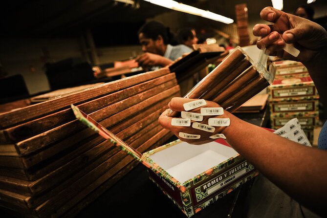 Aurora Cigar & Rum Sensory Tasting and Pairing in Punta Cana - Who will enjoy this most
