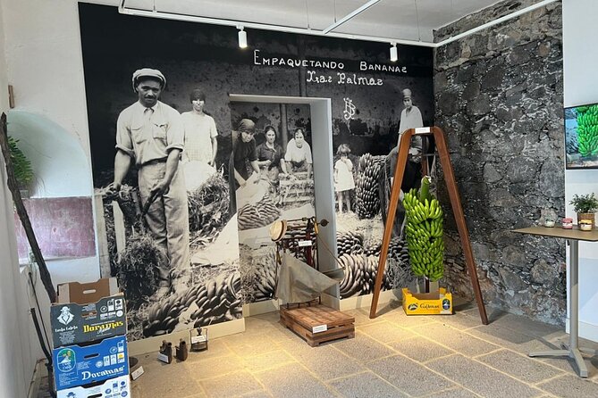 Banana Museum, Rum Distillery & Winery with Tasting: Premium tour - Bodega Los Berrazales and the coffee-growing area