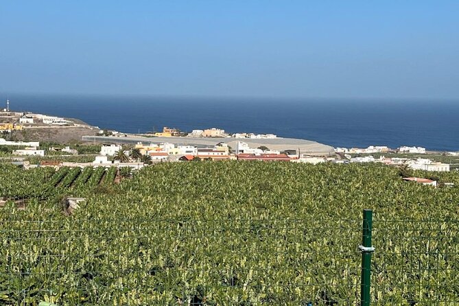 Banana Museum, Rum Distillery & Winery with Tasting: Premium tour - Starting at La Rekompensa Mundo del Platano
