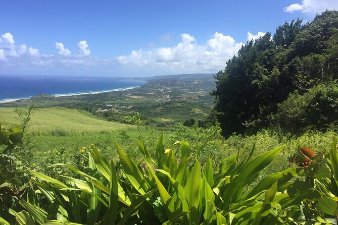 Barbados Highlights and Rum Tour - Cherry Tree Hill: the morning’s best viewpoint