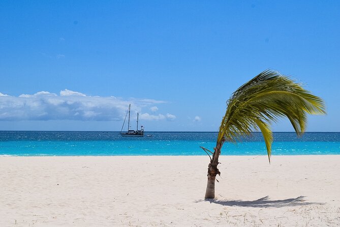Barbados Highlights and Rum Tour - St. John’s Parish Church above the coast
