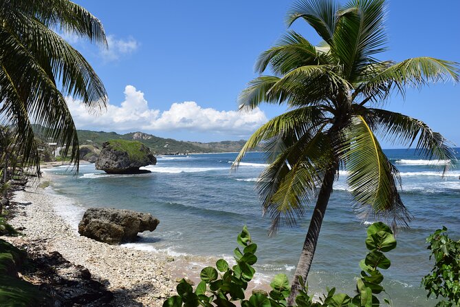 Barbados Highlights and Rum Tour - Gun Hill and the Garrison Savannah