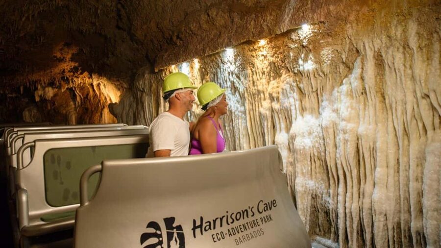 Barbados: Trail, Tram & Rum Experience - Practical Packing Advice For The Day