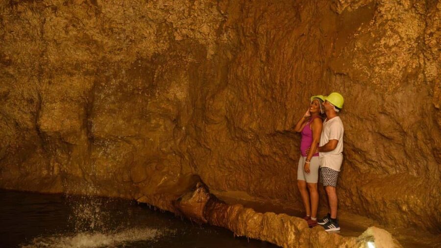 Barbados: Trail, Tram & Rum Experience - Is $145 A Fair Price?