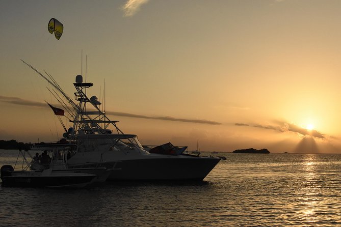 Bio Bay Magic and Rum Tasting Tour from San Juan - Key points at a glance