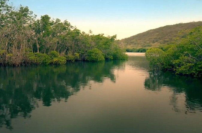 Bio Bay Magic and Rum Tasting Tour from San Juan - Rum, mountains, and glowing water in one long day