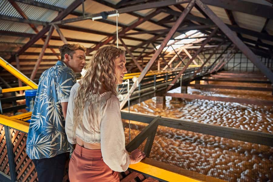 Bundaberg; Bundaberg Rum Distillery Tour and Tasting - The molasses well shows the sheer scale