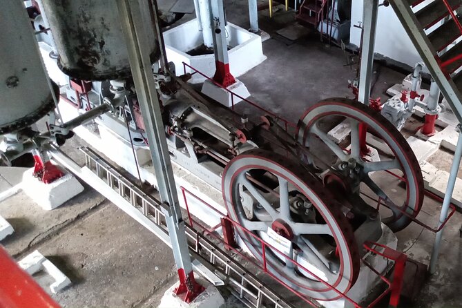 Discover Clarke’s Court Rum Distillery – Transportation Only - The scenic ride to Clarke’s Court