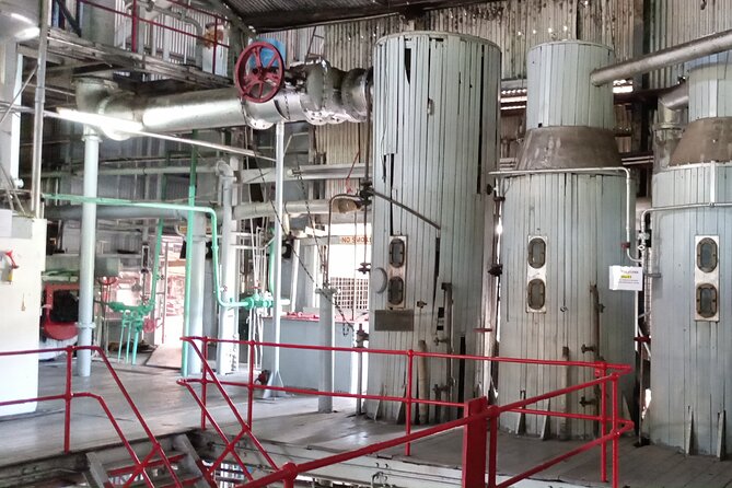 Discover Clarke’s Court Rum Distillery – Transportation Only - The cancellation and weather rules
