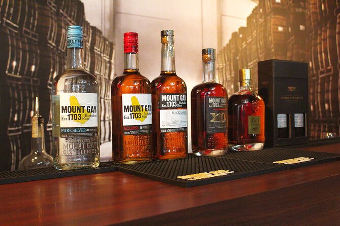 Discover Rum Barbados Tour - Who should book this experience?