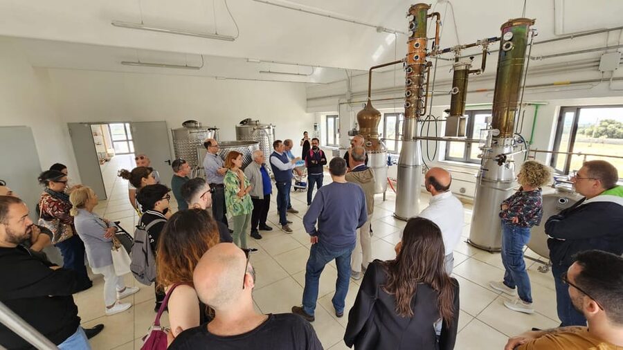 Distilleria Alma- Rum Distilery Guided Tour & Tasting - Inside the distillery: pressing, fermentation, and distillation