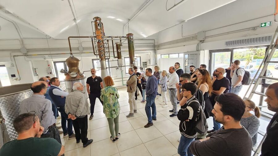 Distilleria Alma- Rum Distilery Guided Tour & Tasting - What the tasting feels like for non-rum drinkers