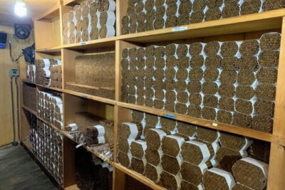 Don Lucas Cigar Factory & Store + Premium Rum Tasting (3 hours)