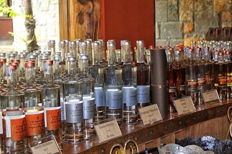 Explore the Southwest with Local Lunch & Rum Tasting - Why this private southwest route works