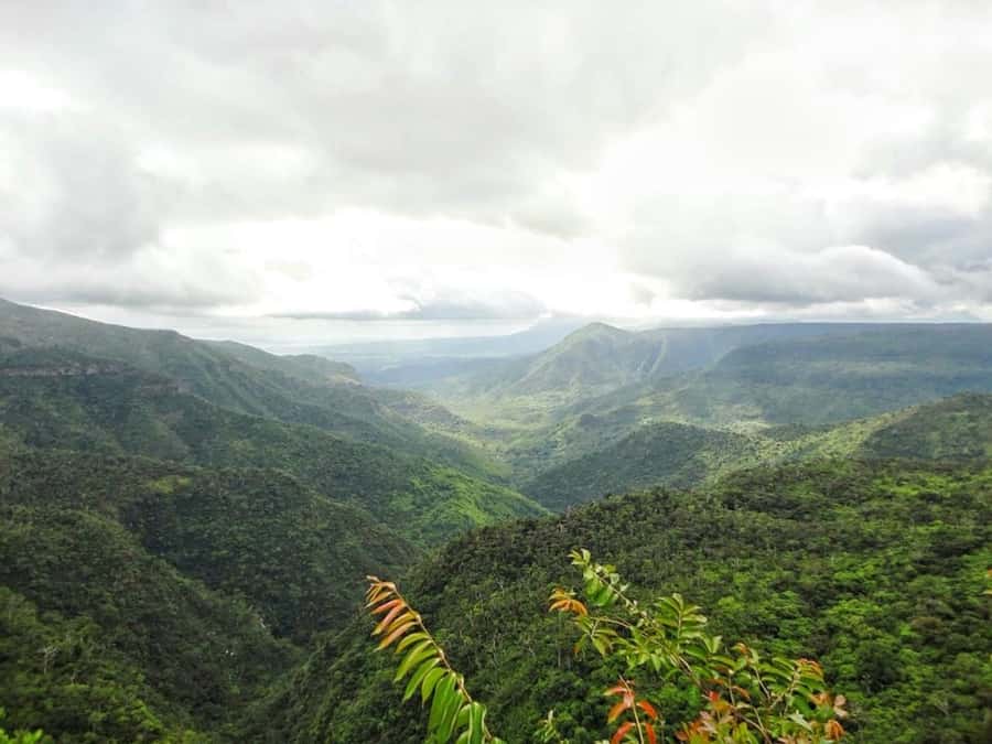 Explore the Southwest with Local Lunch & Rum Tasting - Who should book this southwest tour?