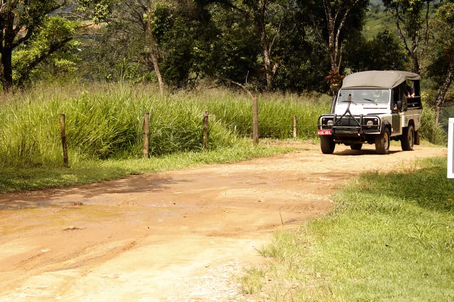 Full-Day Jungle Jeep Waterfall and Cachaça Distillery Tour - Why this six-hour Paraty trip works