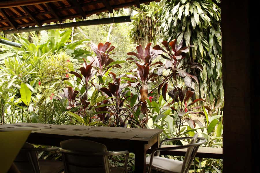 Full-Day Jungle Jeep Waterfall and Cachaça Distillery Tour - Engenho D’ouro and Murycana Farm: cachaça with a local setting