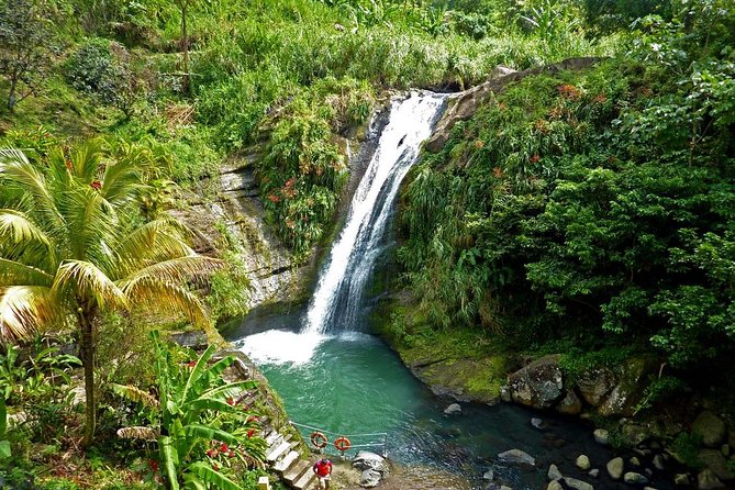 Full-Day Tour: Concord Waterfall, Chocolate Factory, Rum Distillery, Grand Etang - The quick take