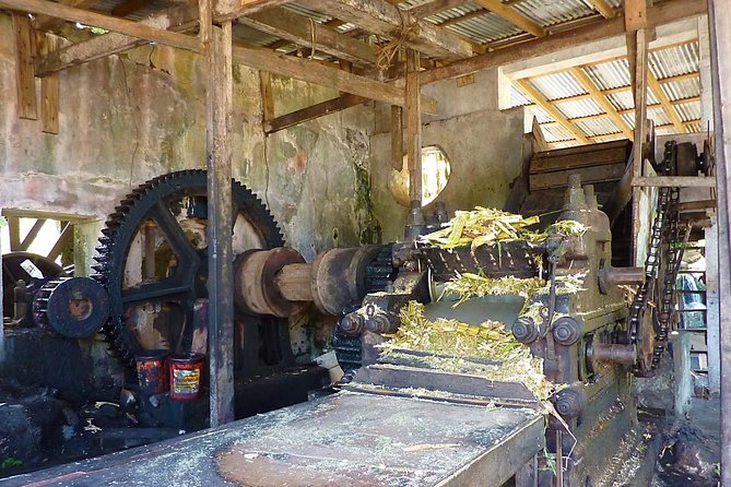 Full-Day Tour: Concord Waterfall, Chocolate Factory, Rum Distillery, Grand Etang - What the guiding adds