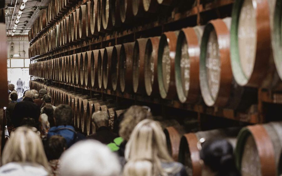 Gran Canaria: Rum, Wines and Banana Tour - What the transport and timing are really like