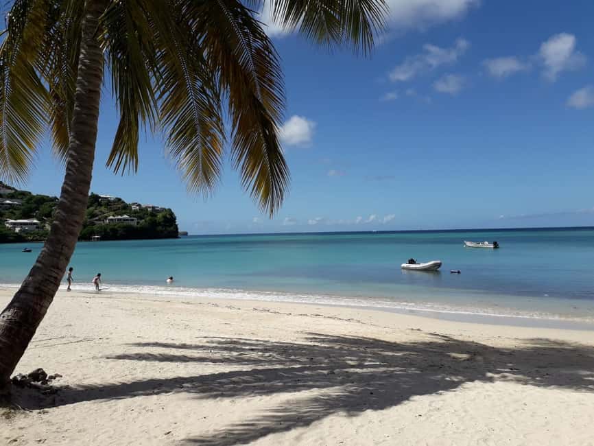 Grenada: Culture and Nature Island Tour with Chocolate & Rum - Grand Etang and the rainforest interior