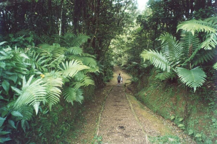 Grenada: Culture and Nature Island Tour with Chocolate & Rum - Spices, fruit, and the everyday Grenada