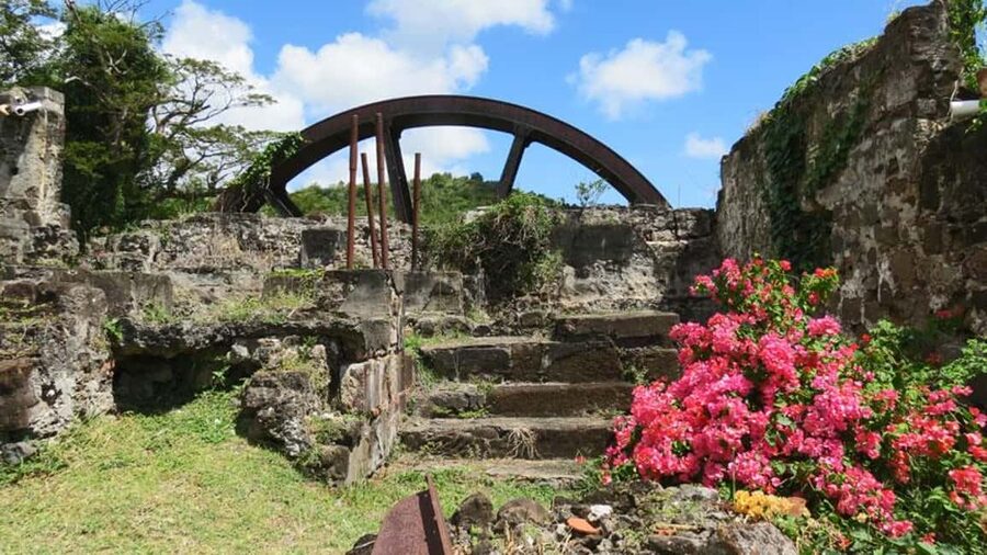 Grenada: Culture and Nature Island Tour with Chocolate & Rum - Rum tasting and the extra $5 decision