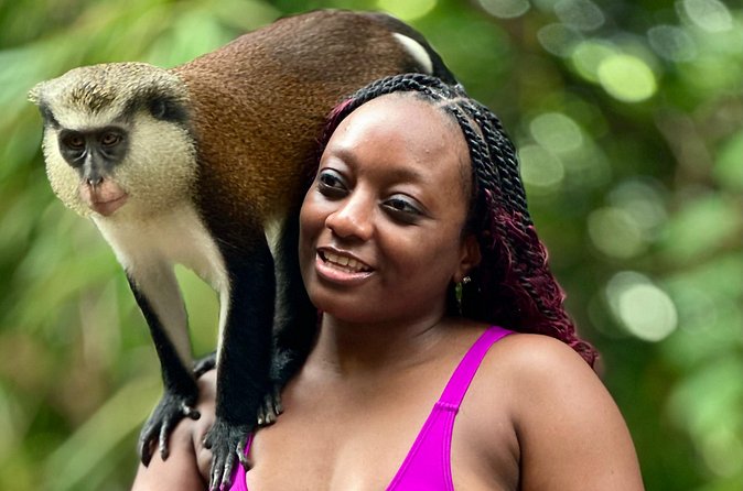 Grenada Day Tour-Concord Falls, Chocolate, Rum & Grand Etang Lake - Grand Etang Lake and Grenada’s Mountain Country