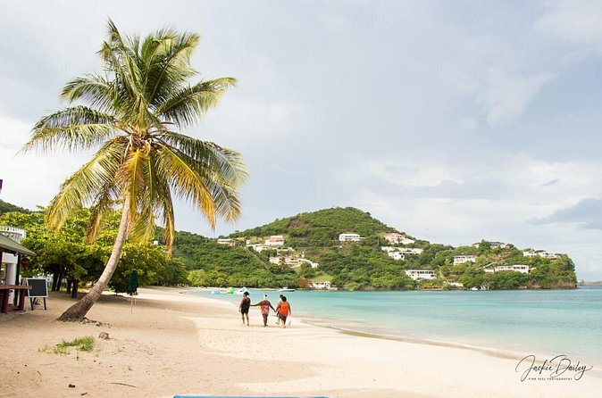 Grenada Express Tour - Annandale, Fort Fredrick, Rum Distillery & Beach Tour - The guide can make or break the morning