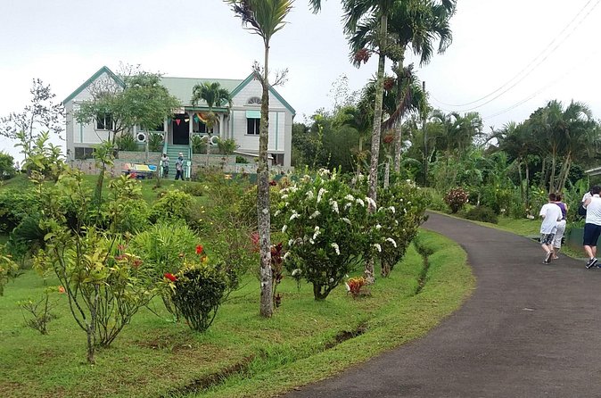 Grenada Express Tour - Annandale, Fort Fredrick, Rum Distillery & Beach Tour - Who should book this half-day outing?
