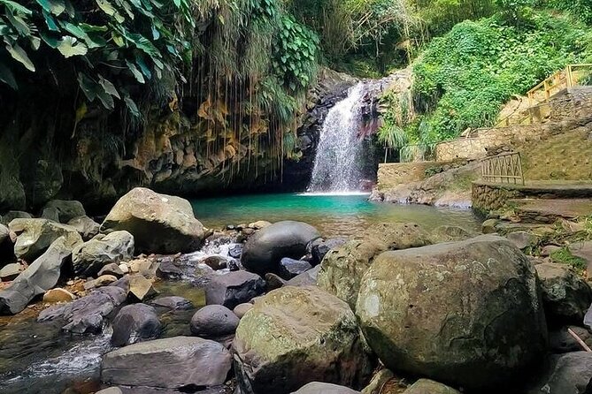 Grenada Highlights Half-Day Rum, Chocolate and Waterfall Tour - Annandale Falls: a refreshing finish near St. George’s